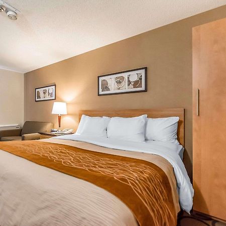 Comfort Inn Ривьер-дю-Лу Экстерьер фото